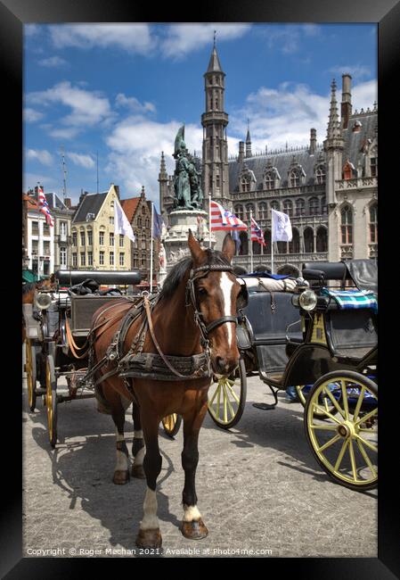 Regal Horse Carriage in Bruges Framed Print by Roger Mechan
