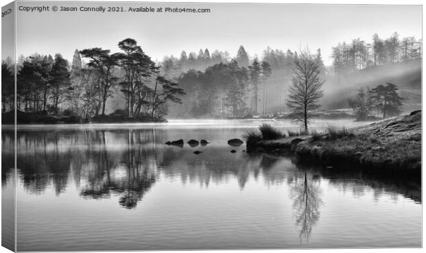 Early Light At Tarn Hows Canvas Print by Jason Connolly