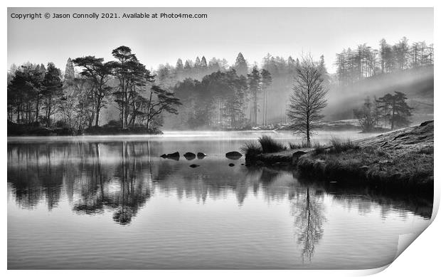 Early Light At Tarn Hows Print by Jason Connolly