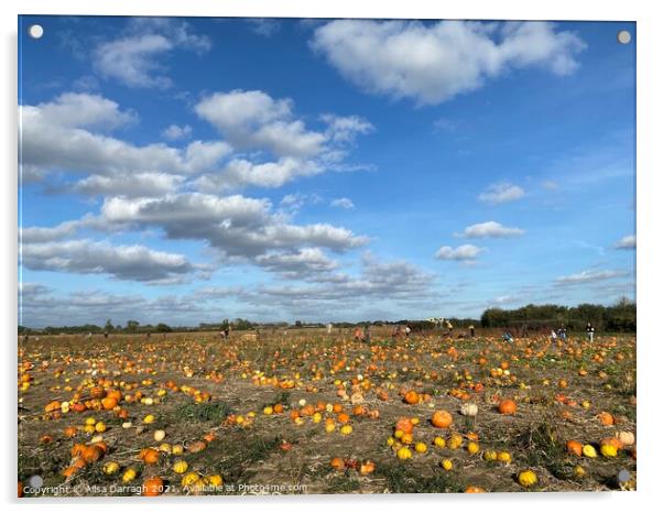 Pumpkin Patch Acrylic by Ailsa Darragh