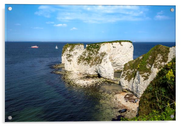 Old Harry Rocks, Dorset coast Acrylic by Andrew Sharpe