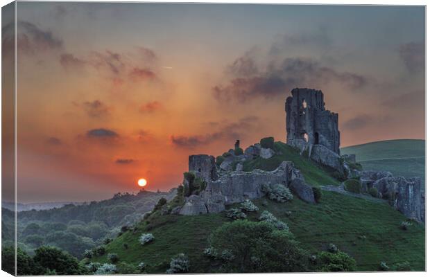 Corfe Castle Canvas Print by Andrew Sharpe