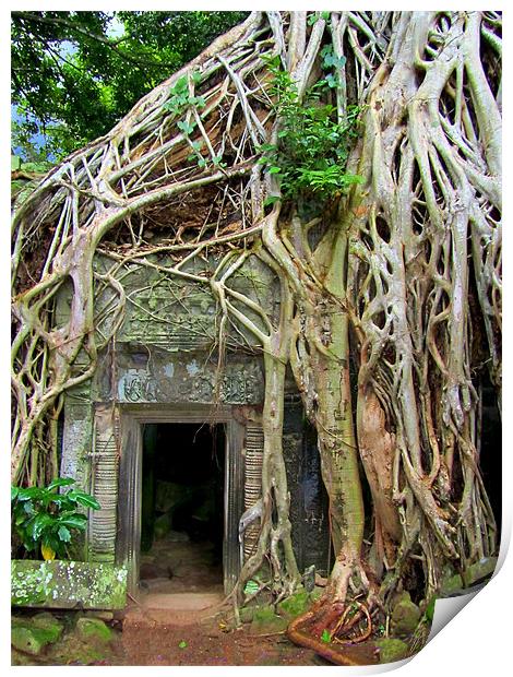 Te Prohm Temple Tree Overgrowth 3 Print by Mark Sellers