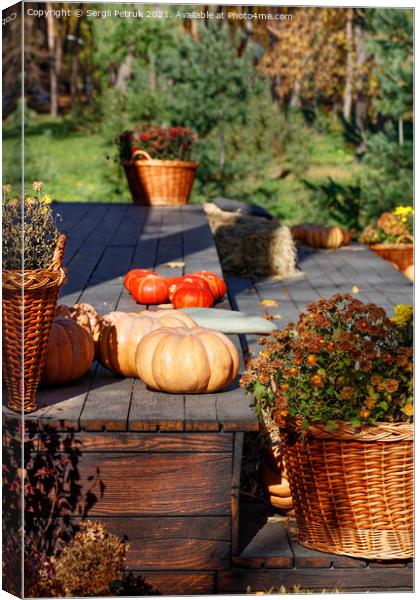 Round pumpkins near baskets of chrysanthemums on a black wooden platform in warm autumn sunlight. Canvas Print by Sergii Petruk