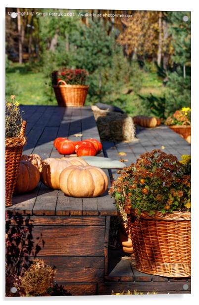 Round pumpkins near baskets of chrysanthemums on a black wooden platform in warm autumn sunlight. Acrylic by Sergii Petruk