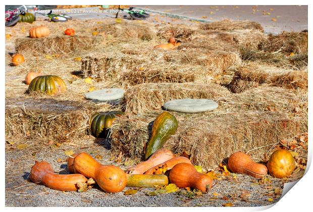 Orange pumpkins lie among sheaves of hay on a playground in an autumn city park. Print by Sergii Petruk