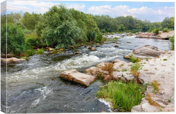 The rapid flow of the river between rocky banks with stone rapids and greenery in a summer landscape. Canvas Print by Sergii Petruk