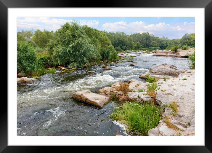 The rapid flow of the river between rocky banks with stone rapids and greenery in a summer landscape. Framed Mounted Print by Sergii Petruk