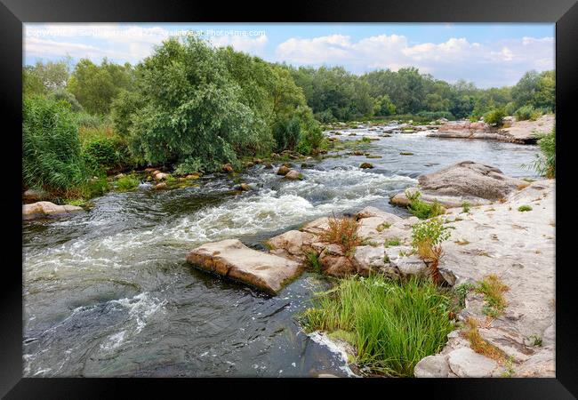 The rapid flow of the river between rocky banks with stone rapids and greenery in a summer landscape. Framed Print by Sergii Petruk
