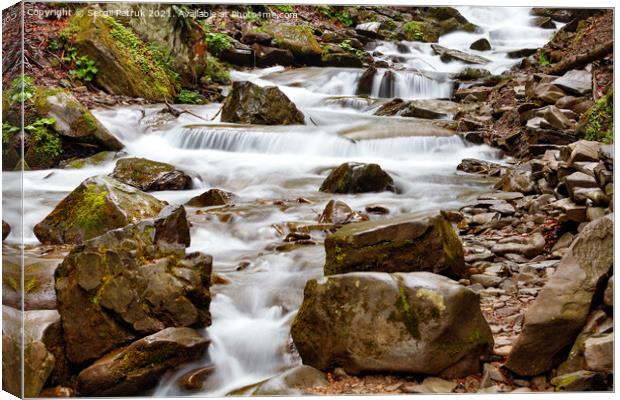 A swift whitish stream of a mountain river among stone boulders. Canvas Print by Sergii Petruk