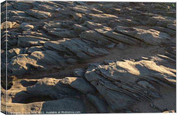 Details on sand rocks at Praia do Malhao beach, in Portugal Canvas Print by Luis Pina