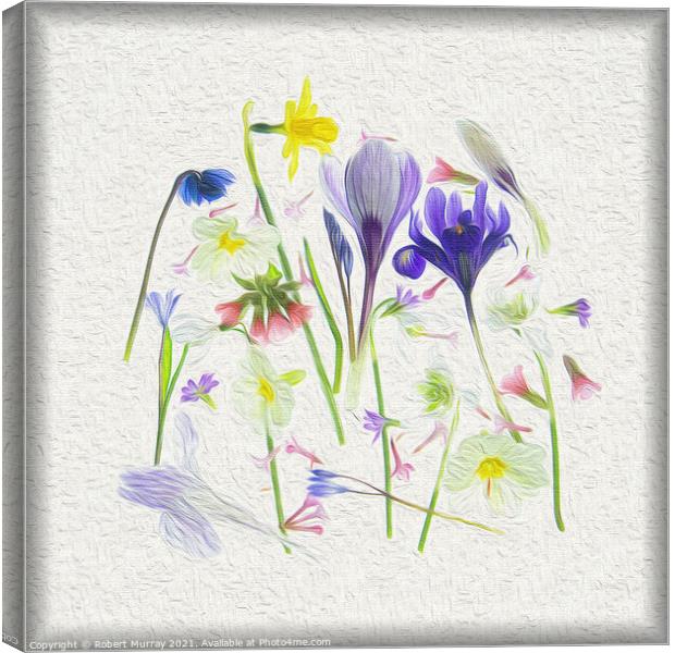 Medley of springtime Canvas Print by Robert Murray