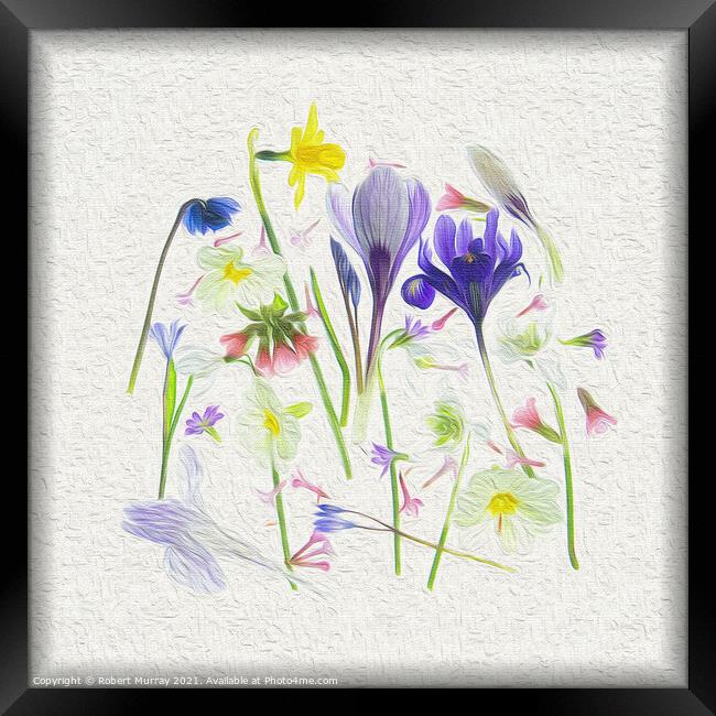 Medley of springtime Framed Print by Robert Murray