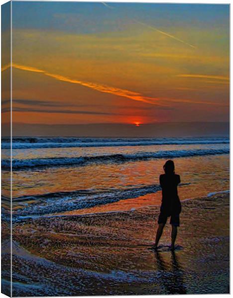 Sunset Silloette Canvas Print by Mark Sellers