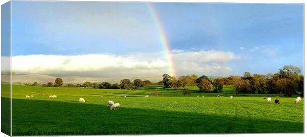 Rainbow Over Bowland Canvas Print by Michele Davis