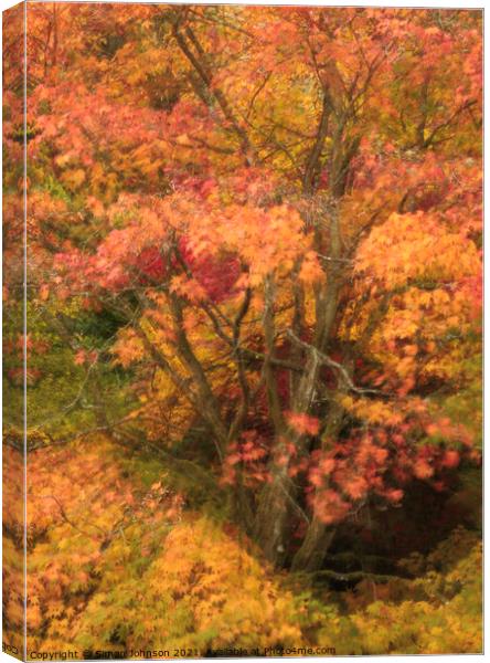 Autumn colour Canvas Print by Simon Johnson