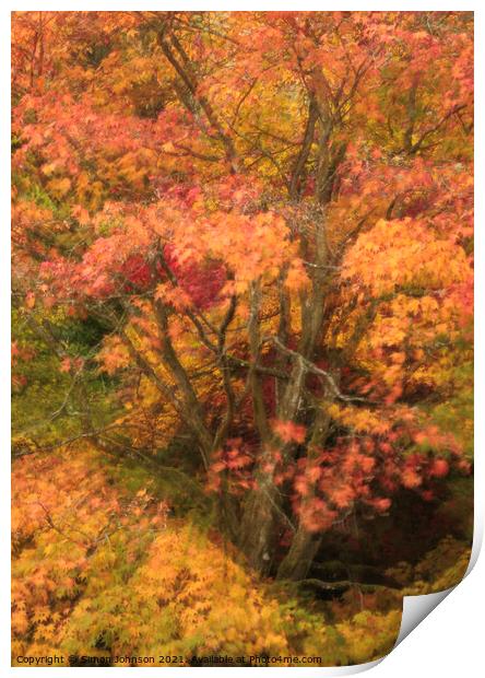 Autumn colour Print by Simon Johnson