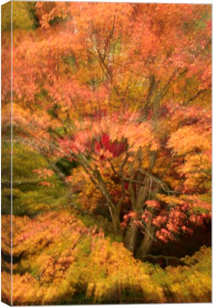 Autumn colour explosion Canvas Print by Simon Johnson