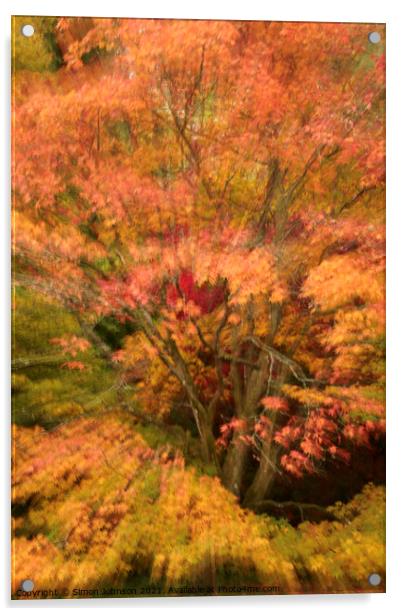 Autumn colour explosion Acrylic by Simon Johnson