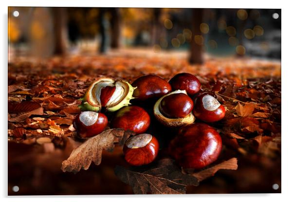 Autumn Conkers Acrylic by Alison Chambers