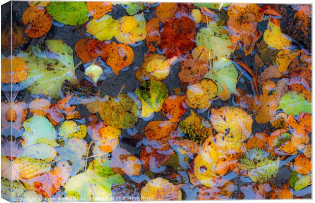 Autumn colours Canvas Print by Kevin Hellon