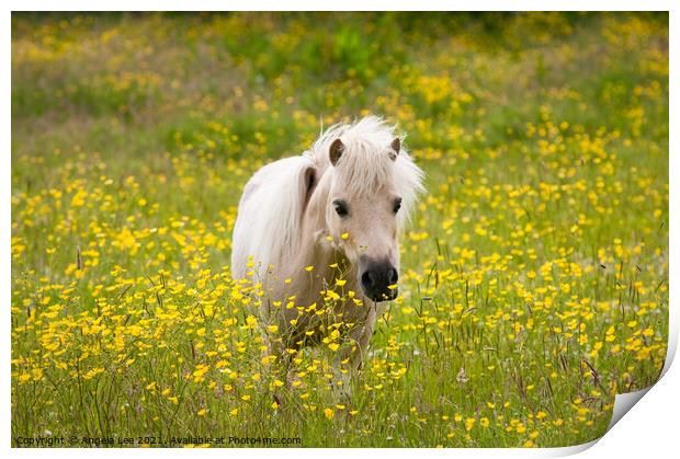 Hiding in the buttercups Print by Angela Lee