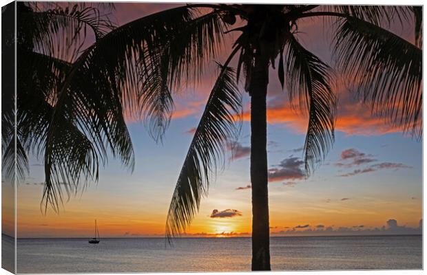 Caribbean Sea at Sunset Canvas Print by Arterra 