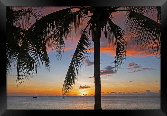 Caribbean Sea at Sunset Framed Print by Arterra 