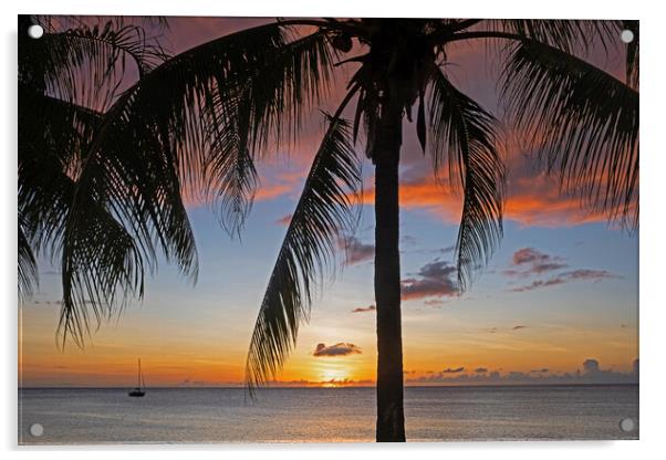 Caribbean Sea at Sunset Acrylic by Arterra 