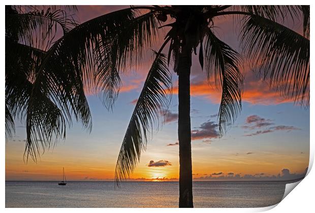 Caribbean Sea at Sunset Print by Arterra 