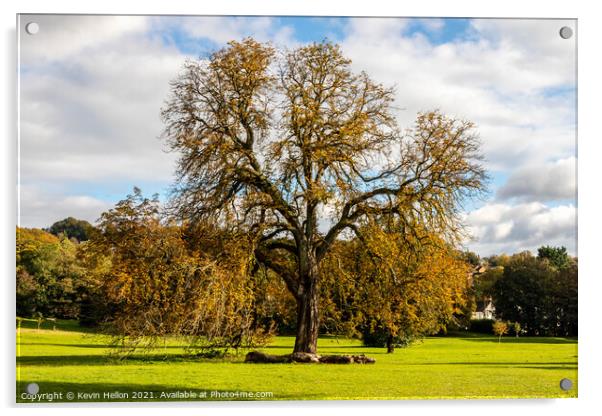 Oak tree in Autumn sunshine, Acrylic by Kevin Hellon