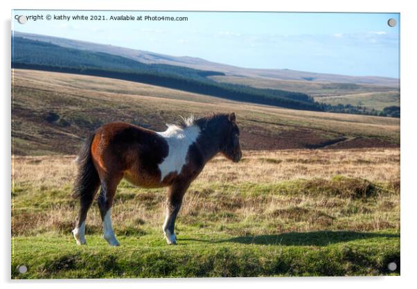 Dartmoor pony Acrylic by kathy white