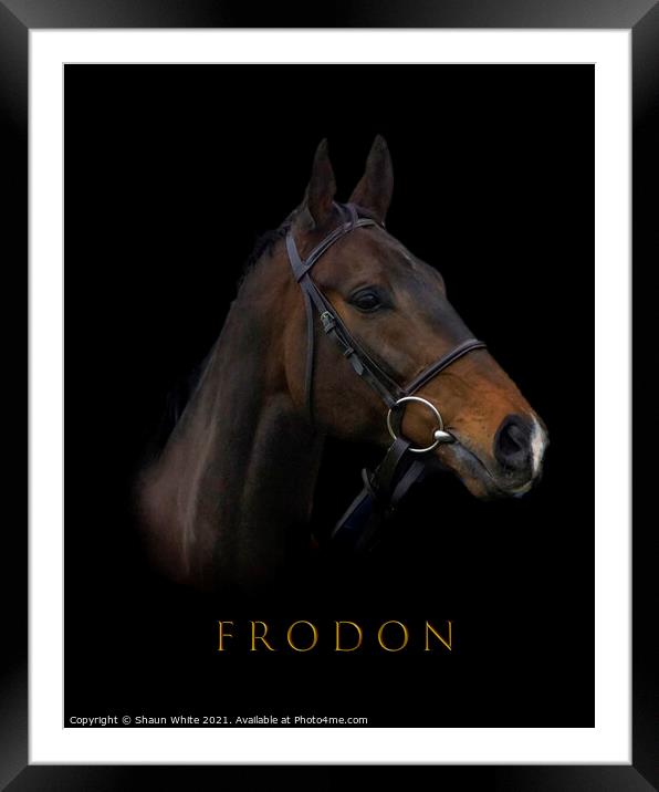 Frodon Framed Mounted Print by Shaun White