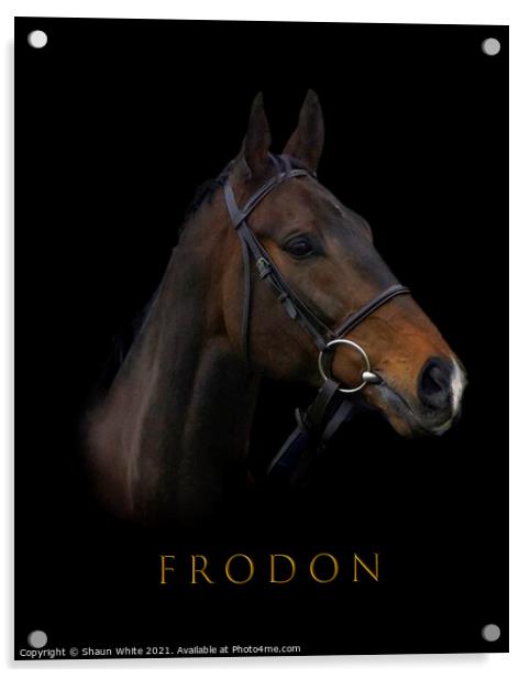 Frodon Acrylic by Shaun White
