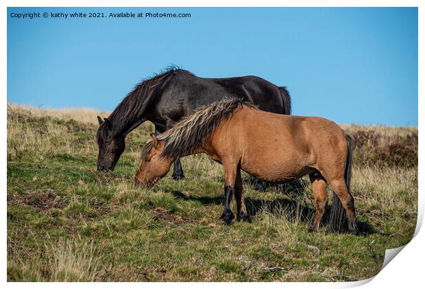 Two Dartmoor ponies Print by kathy white