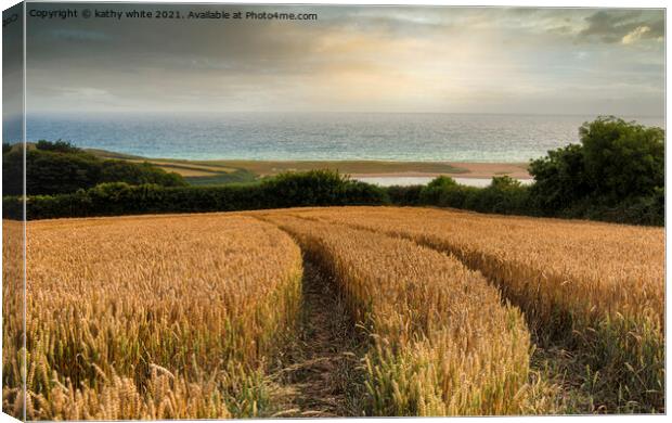 Cornwall sunset,wheat fields at low bar Cornwall Canvas Print by kathy white