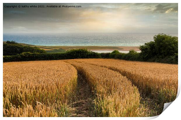 Cornwall sunset,wheat fields at low bar Cornwall Print by kathy white