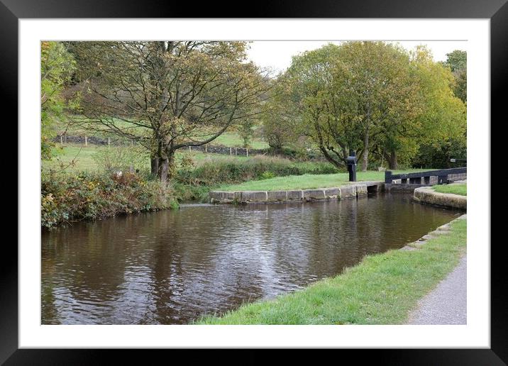 Canal lock in autumn Framed Mounted Print by Roy Hinchliffe
