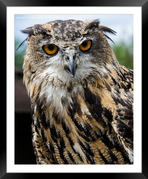 Eagle Owl European Framed Mounted Print by kathy white