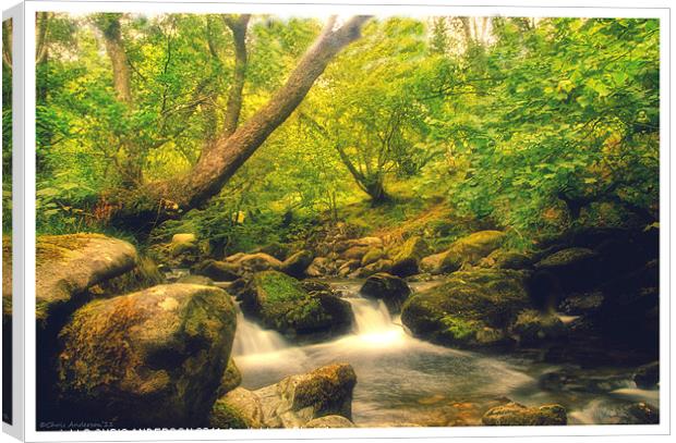 Aira force Canvas Print by CHRIS ANDERSON