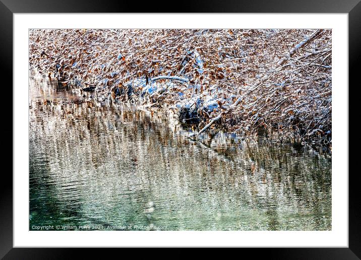 Winter Leaves Snow Ice  Abstract Wenatchee River Washngton Framed Mounted Print by William Perry