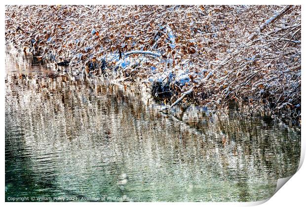 Winter Leaves Snow Ice  Abstract Wenatchee River Washngton Print by William Perry