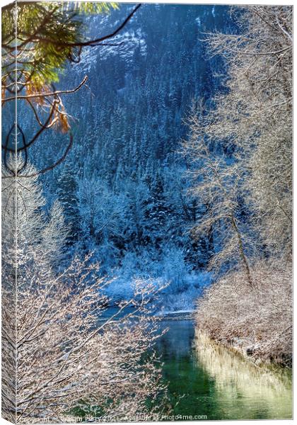 Winter Leaves Snow Ice Sun Wenatchee River Washington Canvas Print by William Perry