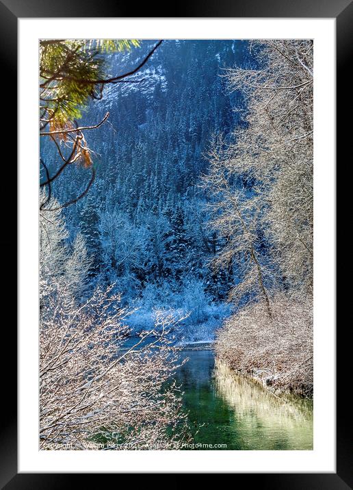 Winter Leaves Snow Ice Sun Wenatchee River Washington Framed Mounted Print by William Perry