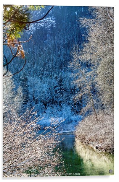 Winter Leaves Snow Ice Sun Wenatchee River Washington Acrylic by William Perry