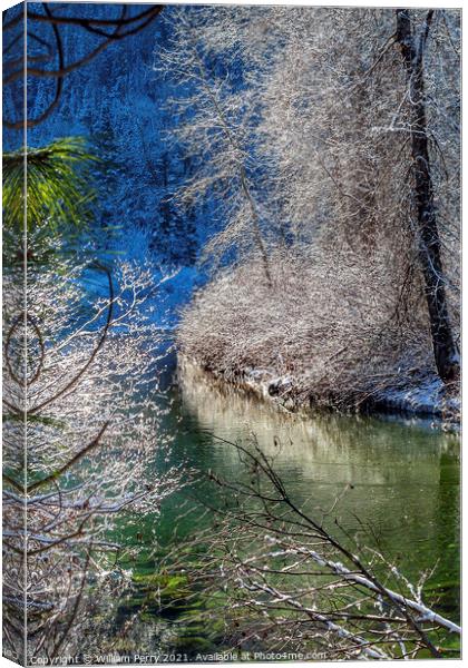 Winter Leaves Snow Ice  Wenatchee River Washington Canvas Print by William Perry
