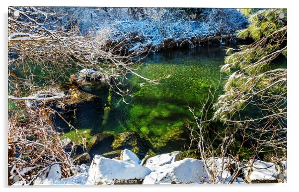 Winter Leaves Snow Ice  Wenatchee River Washington Acrylic by William Perry