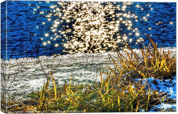 Wenatchee River Stars Winter Leaves Leavenworth Washington Canvas Print by William Perry