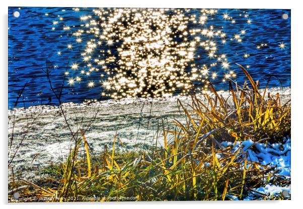Wenatchee River Stars Winter Leaves Leavenworth Washington Acrylic by William Perry