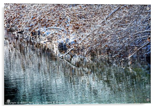 Winter Leaves Snow Ice  Abstract Wenatchee River Washngton Acrylic by William Perry